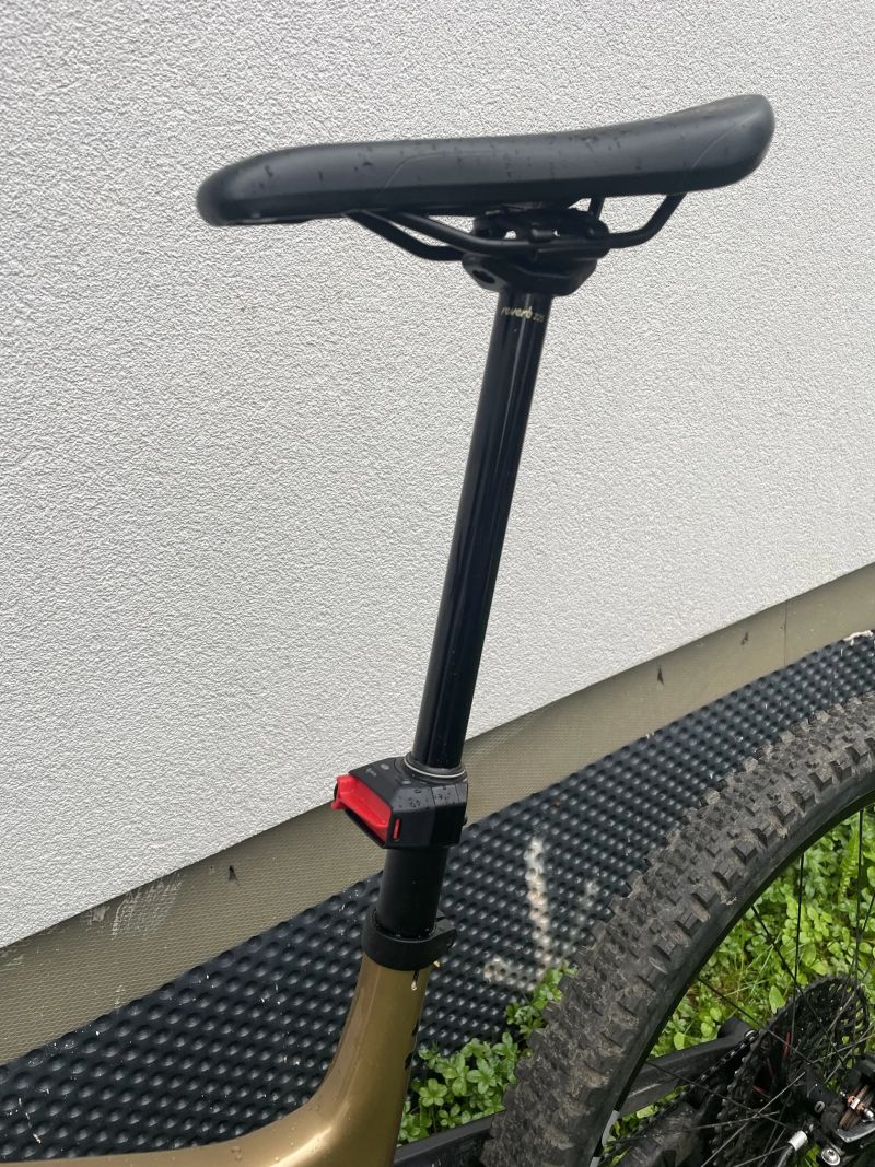 Canyon Spectral 125 CF LTD Flight Attendant