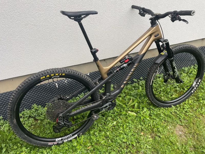 Canyon Spectral 125 CF LTD Flight Attendant