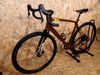 Wilier Jena Disc Bronze, karbon, velikost L 