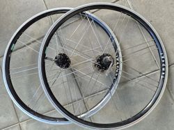 Kola Bayer Tempest 26"