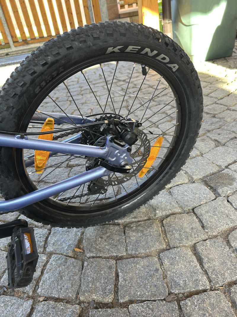 Scott Contessa Ridig