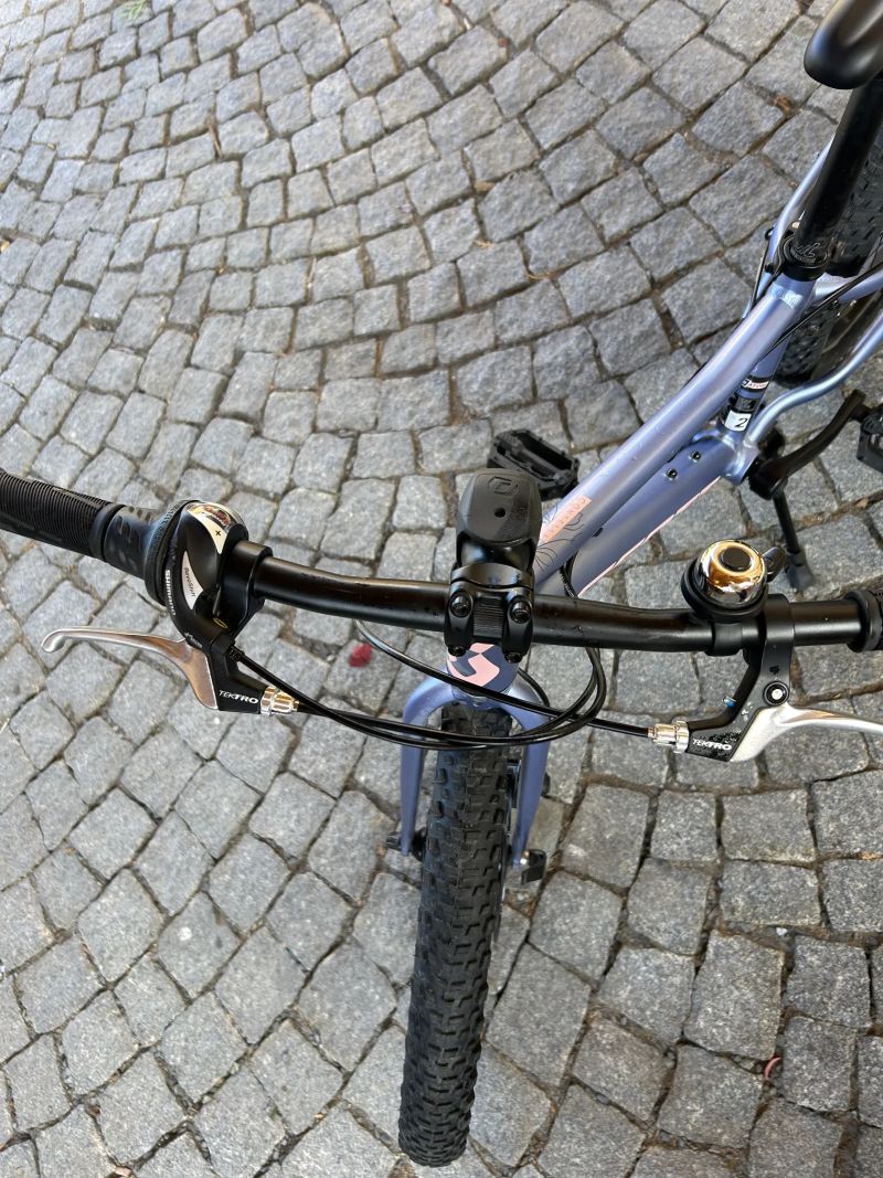 Scott Contessa Ridig