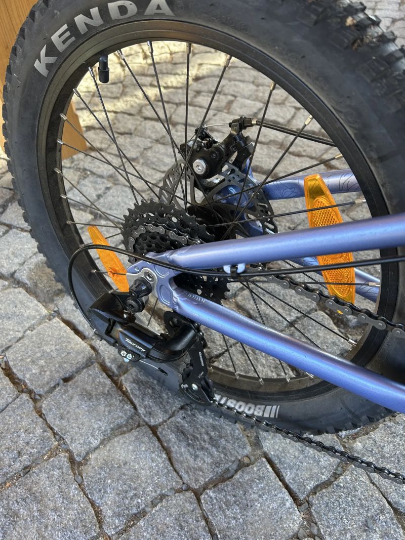 Scott Contessa Ridig