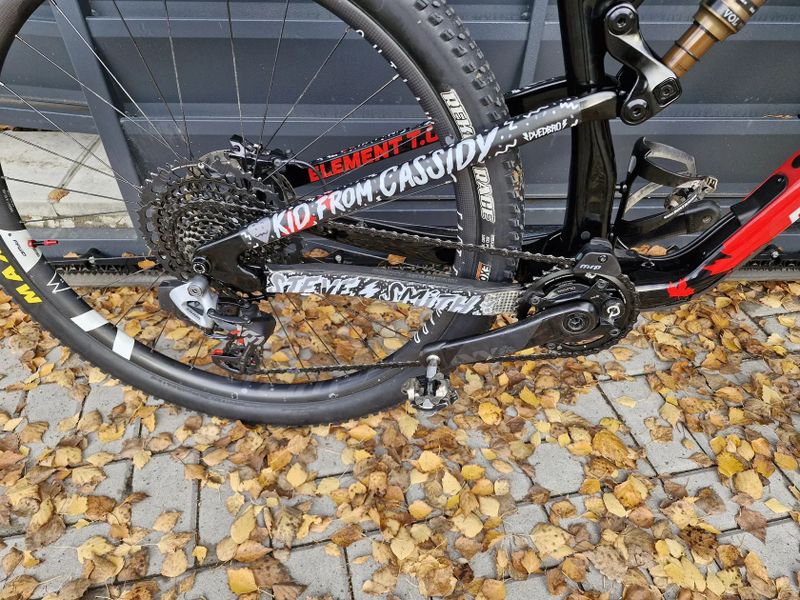 Rocky Mountain ELEMENT (Costum)