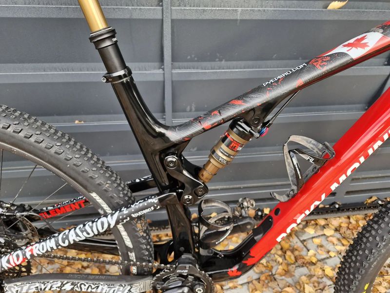 Rocky Mountain ELEMENT (Costum)