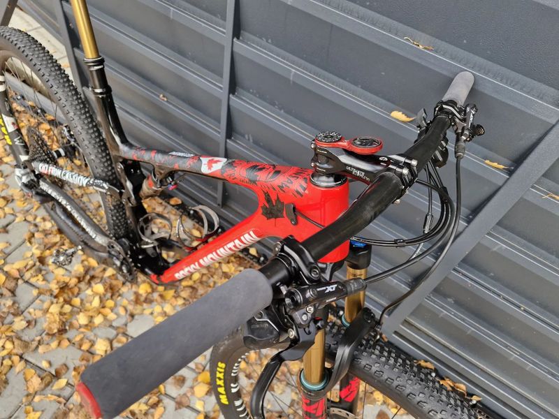 Rocky Mountain ELEMENT (Costum)