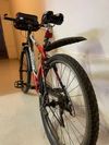 Prodám dámské jízdní kolo Acstar