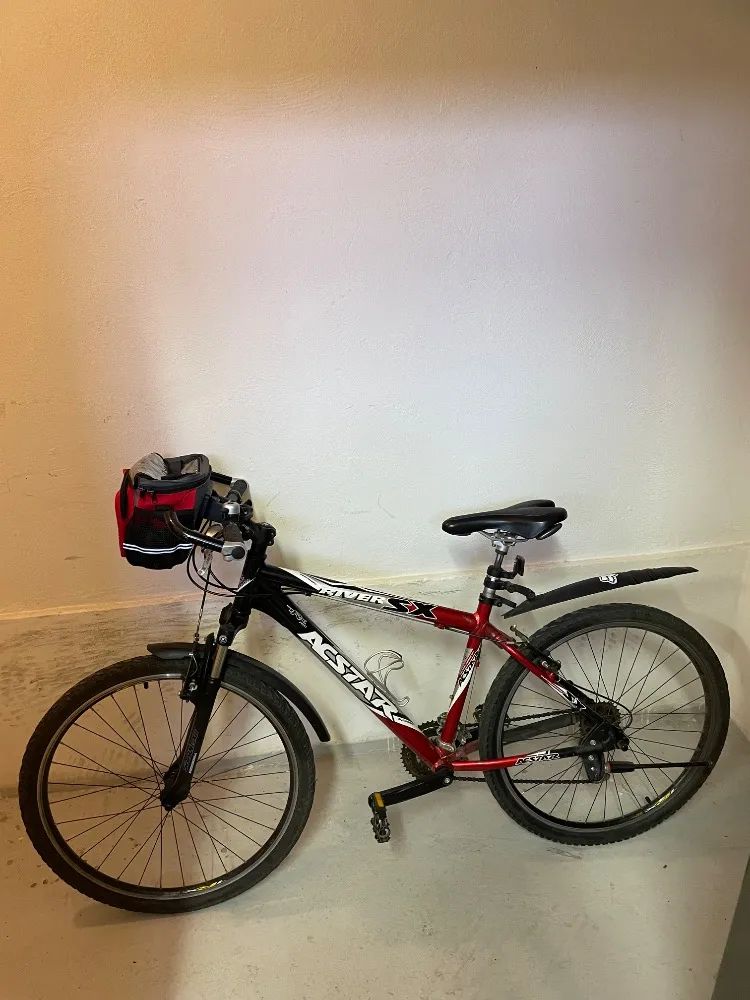 Prodám dámské jízdní kolo Acstar