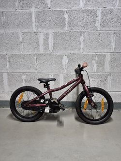 Scott Scott Contessa 16"