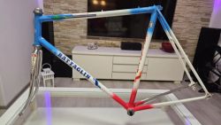 Battaglin world champion 1987