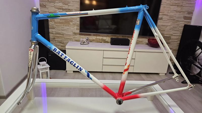 Battaglin world champion 1987