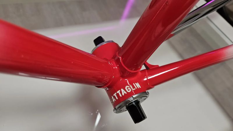 Battaglin world champion 1987