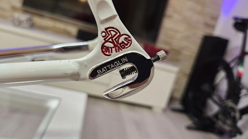 Battaglin world champion 1987