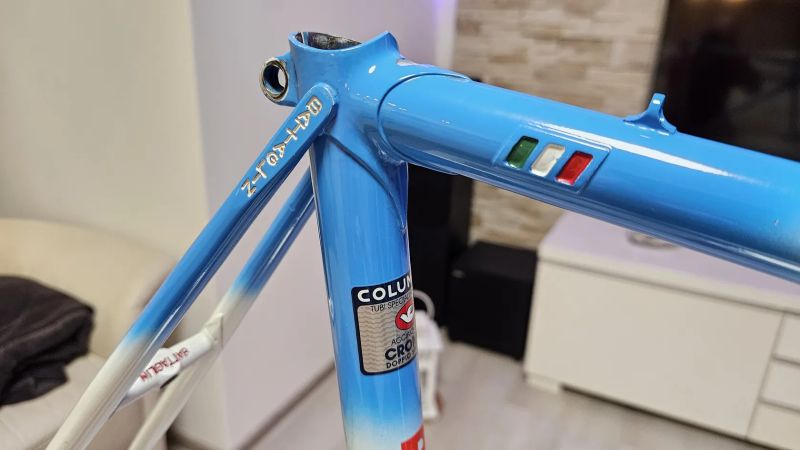 Battaglin world champion 1987