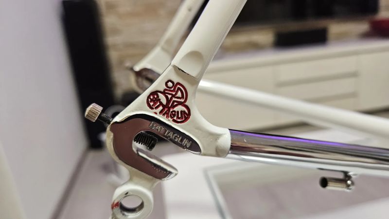 Battaglin world champion 1987