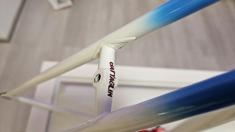 Battaglin world champion 1987