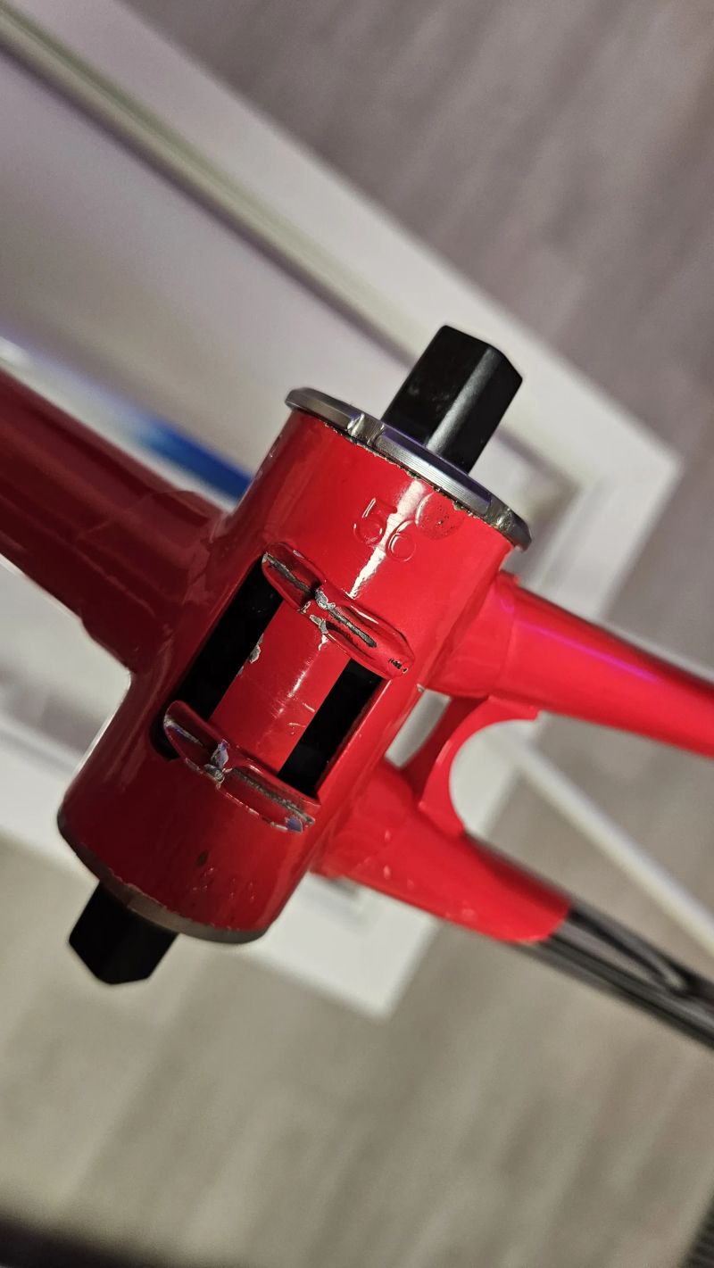 Battaglin world champion 1987