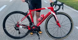 Wilier GTR - velikost S