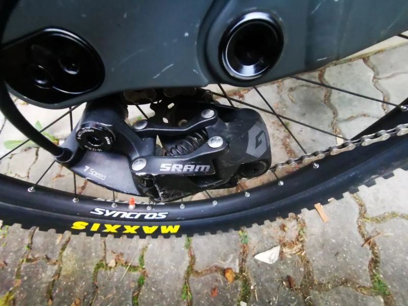 Scott Gambler vel. L rok 2022