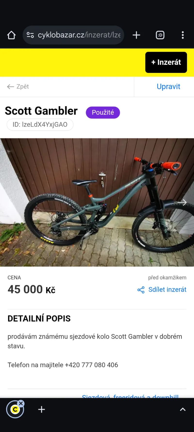 Scott Gambler vel. L rok 2022