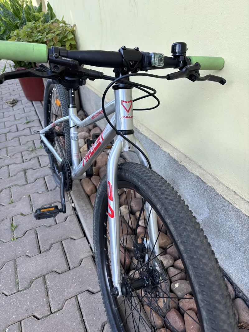 Amulet Youngster 24 SH