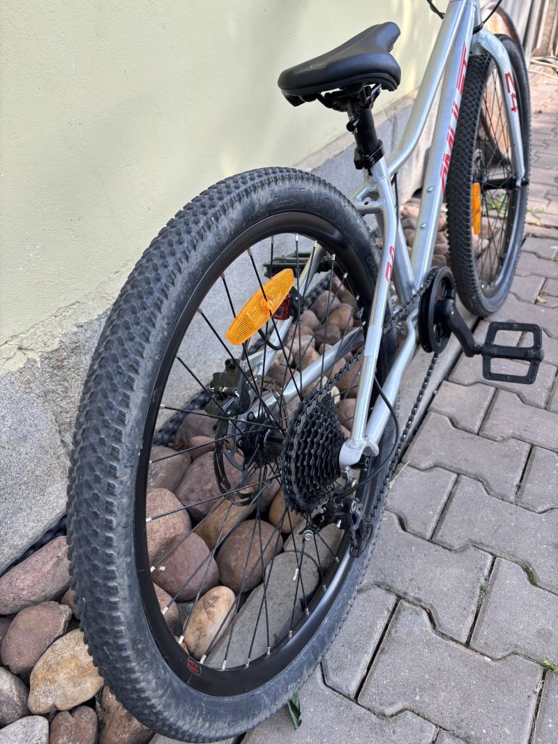 Amulet Youngster 24 SH