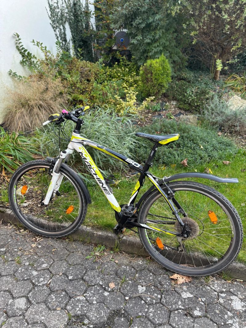 Rock Machine Heatwave 50