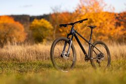 Author Versus 29 3,0