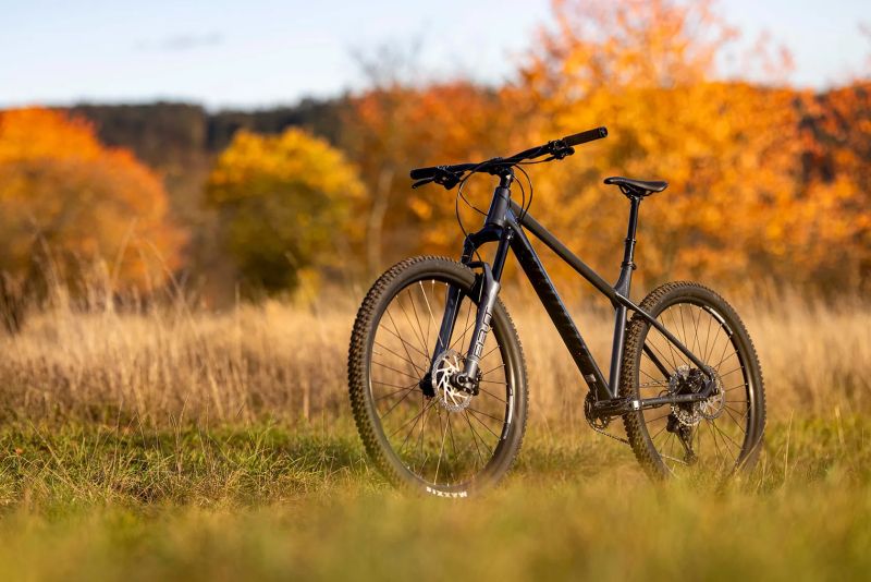 Author Versus 29 3,0