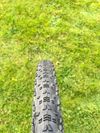 Plášť Maxxis Aspen 29x2.25" EXO TR