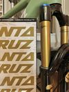 SLIK Graphics Santa Cruz (Fox Gold)