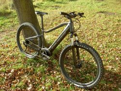 Crussis ONE Largo 7.6