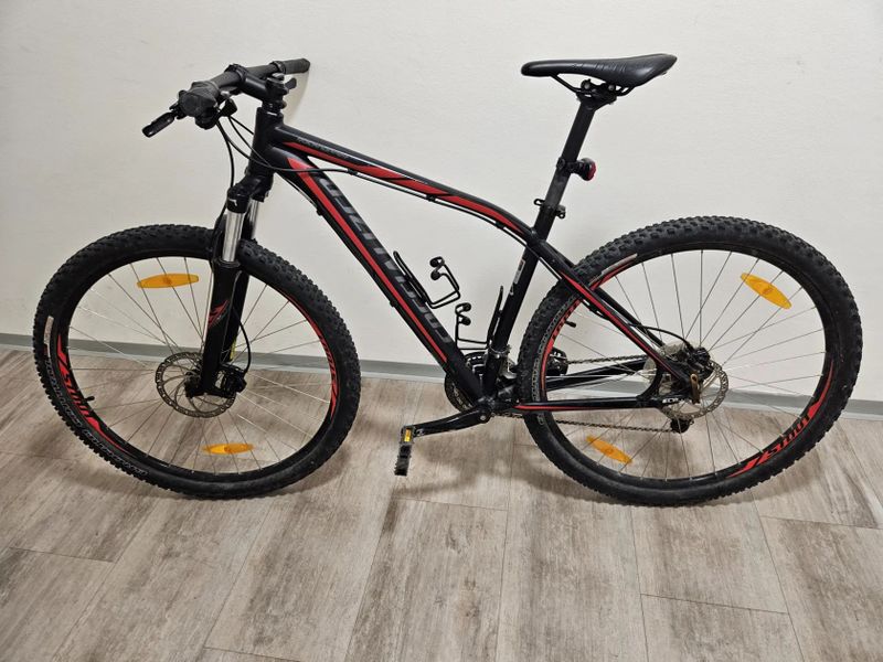 Specialized Rockhopper 29