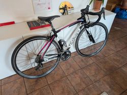 Wilier Luna XS dámské silniční kolo