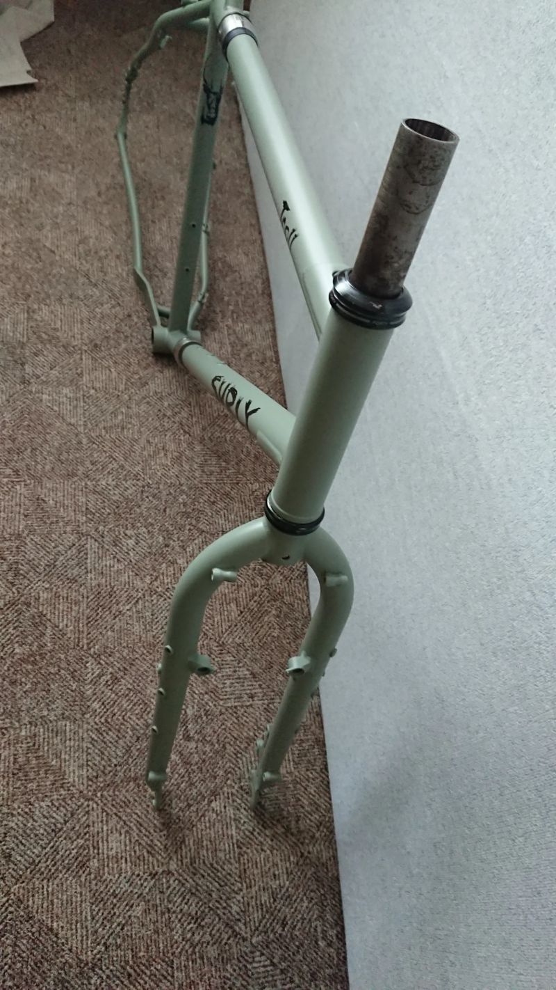 Rám Surly Troll S&S