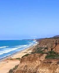 Felt San Onofre - plážový cruiser