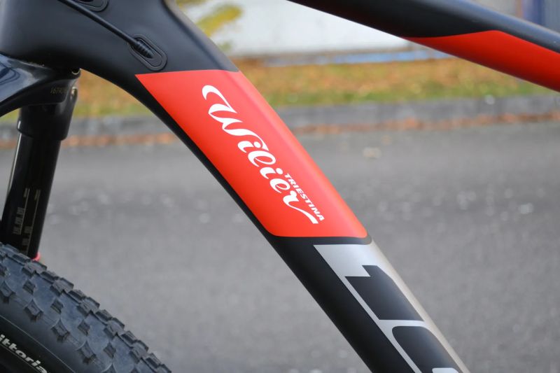 Wilier Triestina 101X Carbon (L)