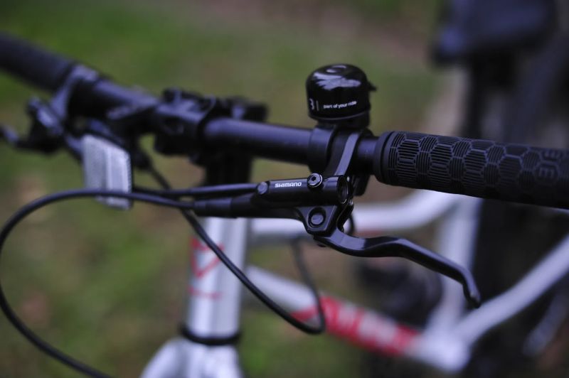 Amulet Youngster 20”