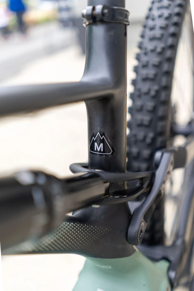 Specialized Turbo Levo expert