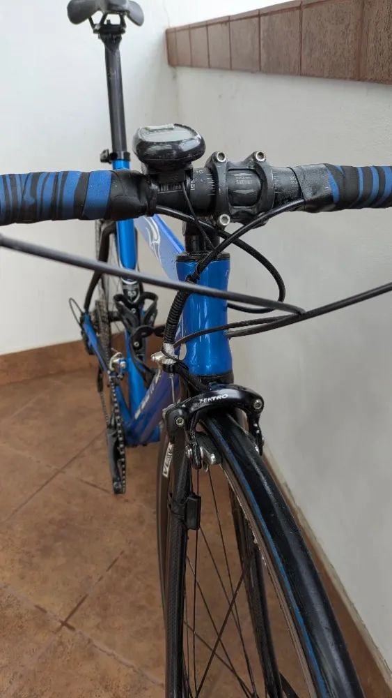 Leader Fox Lead Stage