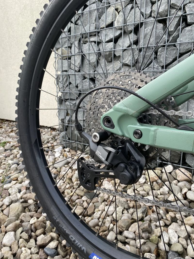 Pells Tarpan AM 3 vel. M. 29”