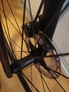 Canyon Canyon Endurace 7 disk - vel M 