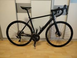 Canyon Canyon Endurace 7 disk - vel M 