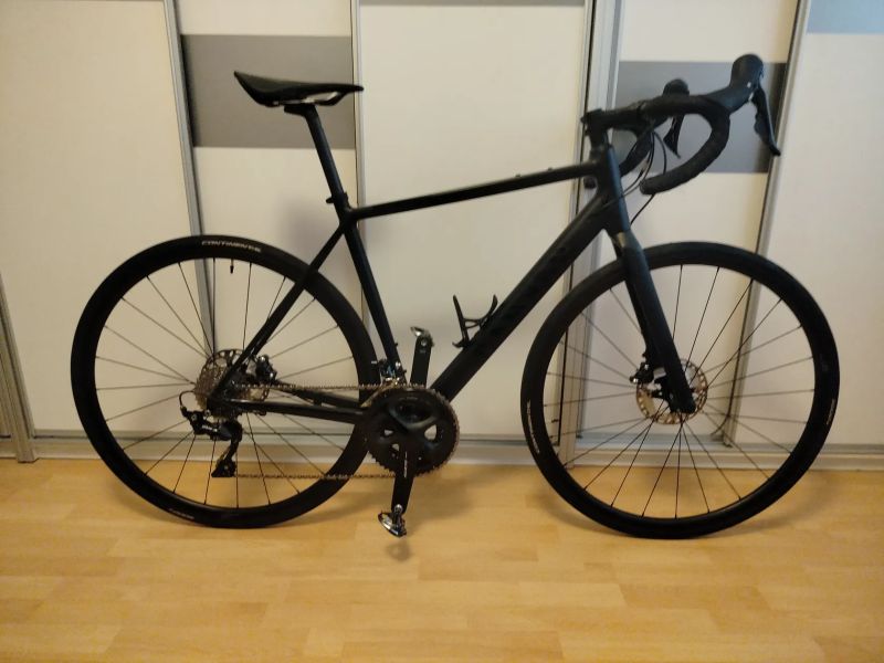 Canyon Canyon Endurace 7 disk - vel M 