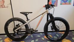 Propain Dreckspatz 3