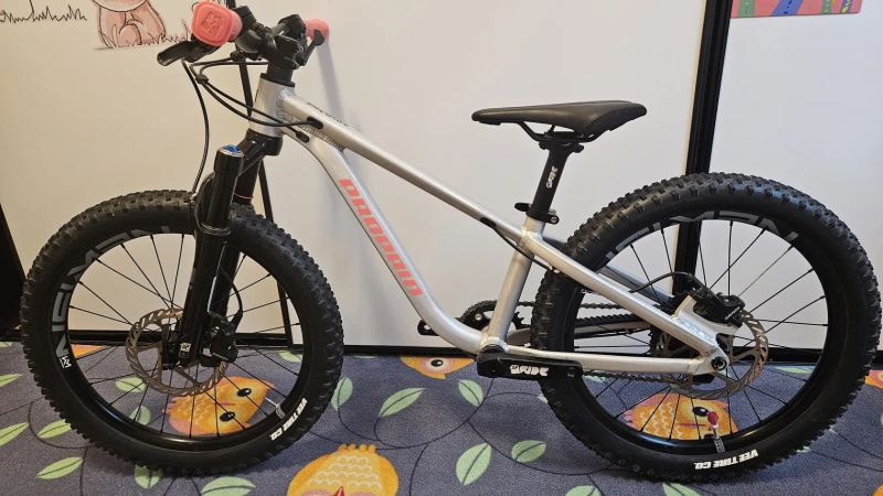 Propain Dreckspatz 3