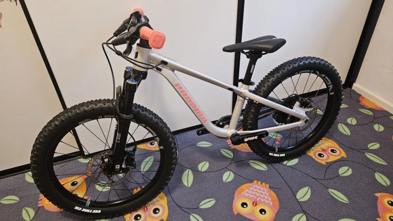 Propain Dreckspatz 3