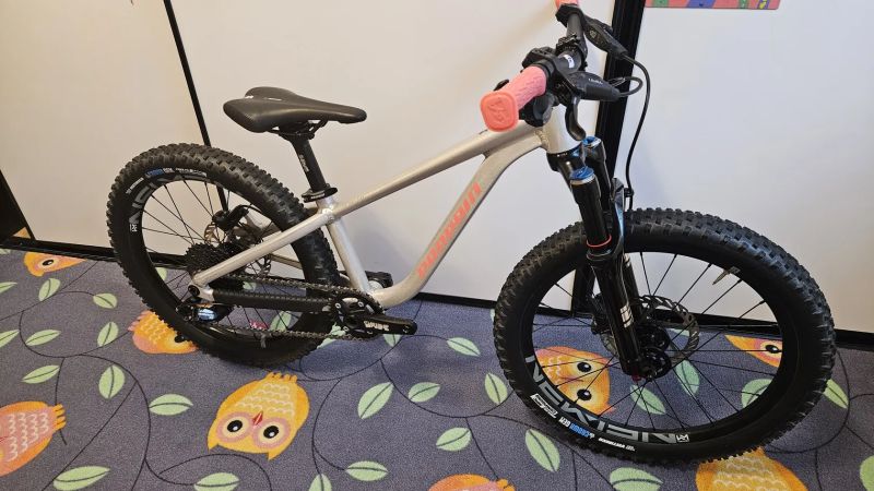 Propain Dreckspatz 3