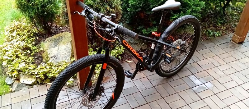 Orbea MX 24 TEAM DISC