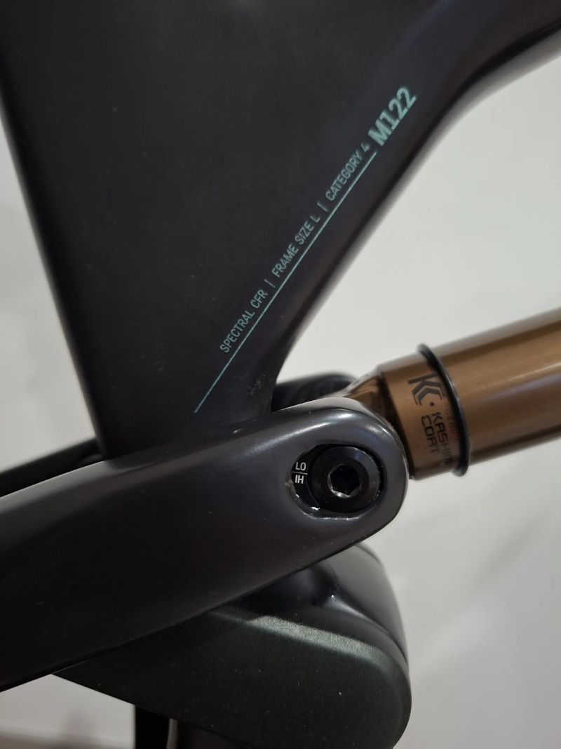 Canyon Spectral 29 CFR